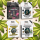 % Smash Cannabis Samen | 3 Stück pro Packung