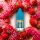 RandM Tornado Liquid - Strawberry Donut Nikotinsalz 10ml | 20mg/ml