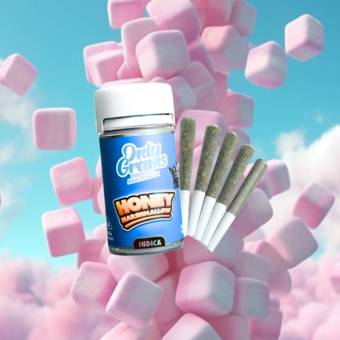 OnlyGrams Superior Pre-Rolls - Honey Marshmallow 5er Pack | 2,5g (Räucherstäbchen)