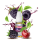 Elfliq Liquid by Elfbar - Blackberry Cherry Nikotinsalz 10ml | 10mg/ml