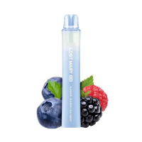 Lost Mary 800 Einweg Vape - Blueberry Raspberry...
