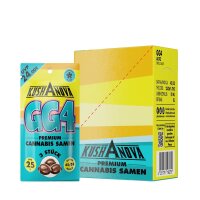 % Kushanova Cannabis Samen - GG4