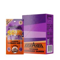 % Kushanova Cannabis Samen - Sour Diesel