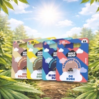 Holy Hemp Cannabis Samen  | 3 Stück pro Packung