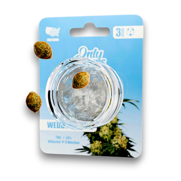 OnlyGrams Genetics Cannabis Samen - Wedding Cake | 3 St&uuml;ck pro Packung