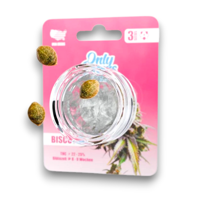 Only Grams Genetics Cannabis Samen - Biscotti | 3 St&uuml;ck pro Packung