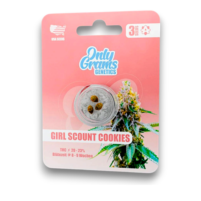 OnlyGrams Genetics Cannabis Samen - Girl Scout Cookies | 3 Stück pro Packung