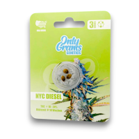 OnlyGrams Genetics Cannabis Samen - NYC Diesel | 3...