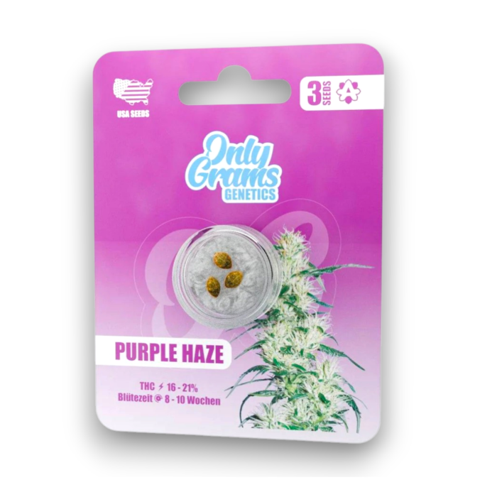 Only Grams Genetics Cannabis Samen - Purple Haze | 3 Stück pro Packung