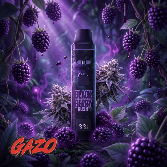 Gazo PRO H3BTA Vape - Blackberry | 1ml
