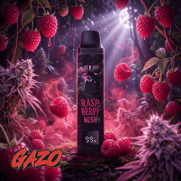 Gazo PRO H3BTA Vape - Raspberry Kush | 1ml
