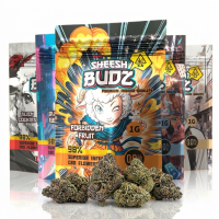 Sheesh Budz Superior Blüte - verschiedene Strain | 1g