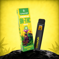 Canapuff 9H-THC Vape - Trainwreck 1ml I 95%