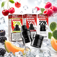 Megabar GT22000 Prefilled Pod - Various Flavours 10ml |...