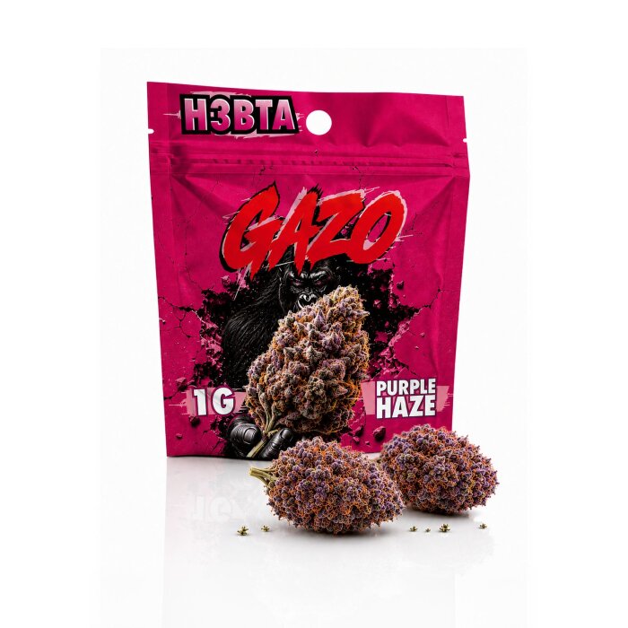 Gazo Flores H3BTA - Purple Haze | 1g
