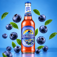 Trade Islands Iced Tea - Blueberry | 24er Kiste