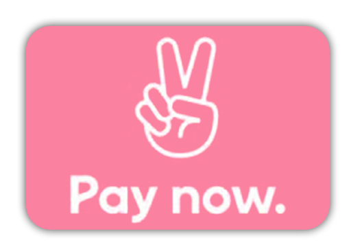 Zahlung per Pay now Logo